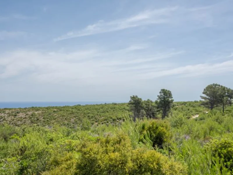 Terreno rural con vistas al mar en Jávea, cerca del Montgó
