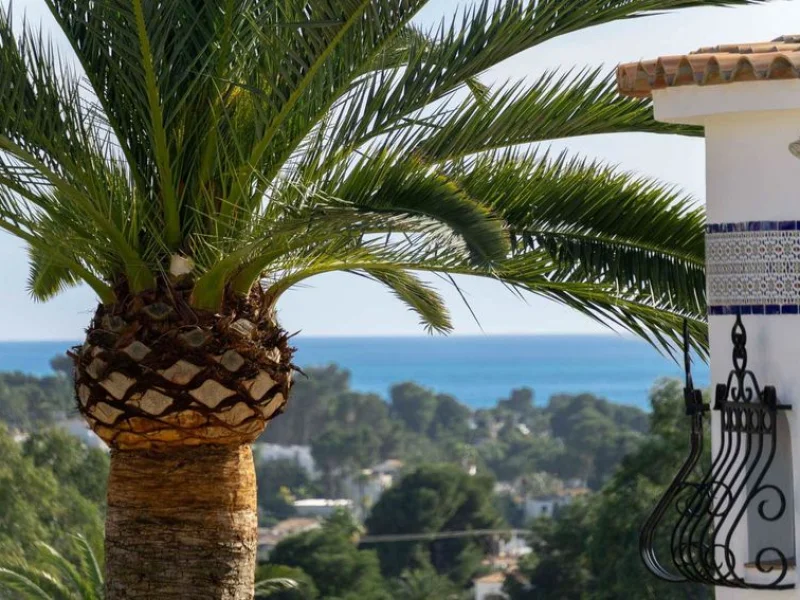 Property in Moraira