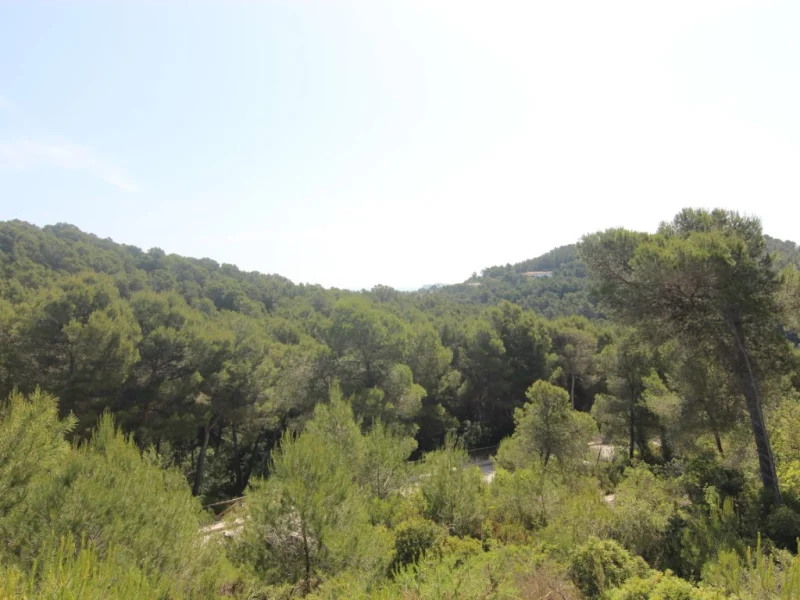 Parcelas en Jávea, Tosalet con vistas a las colinas