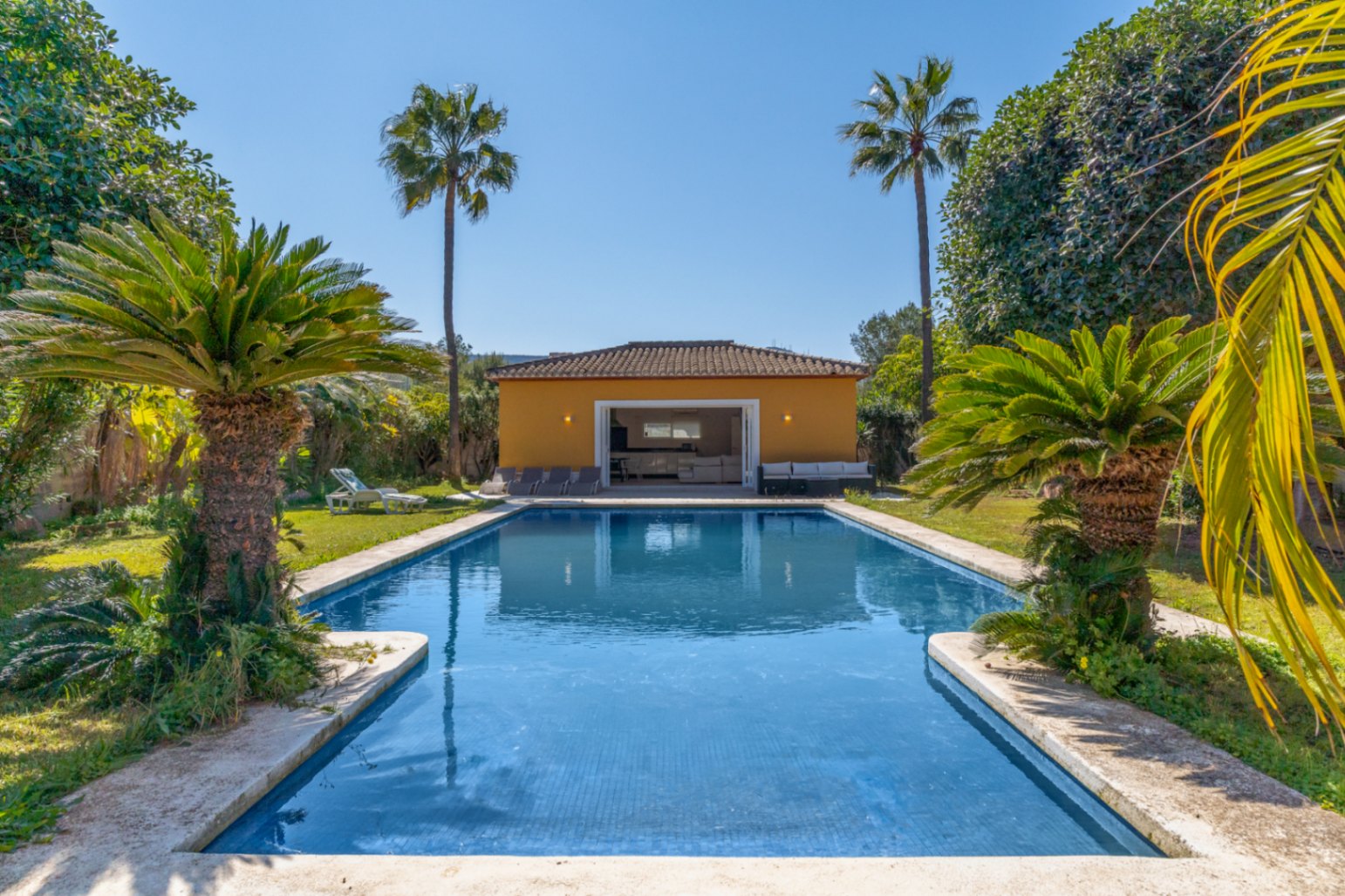 Piscina rectangular de 15x6 metros rodeada de césped y palmeras, con una construcción anexa de 67 m² que alberga la zona de barbacoa y estar.