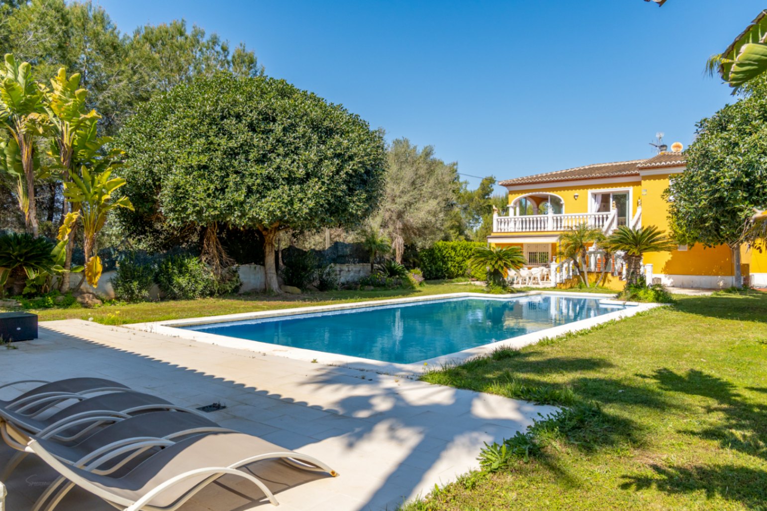Piscina rectangular de amplias dimensiones rodeada de césped y vegetación autóctona, con la fachada amarilla de la villa y sus terrazas blancas al fondo.