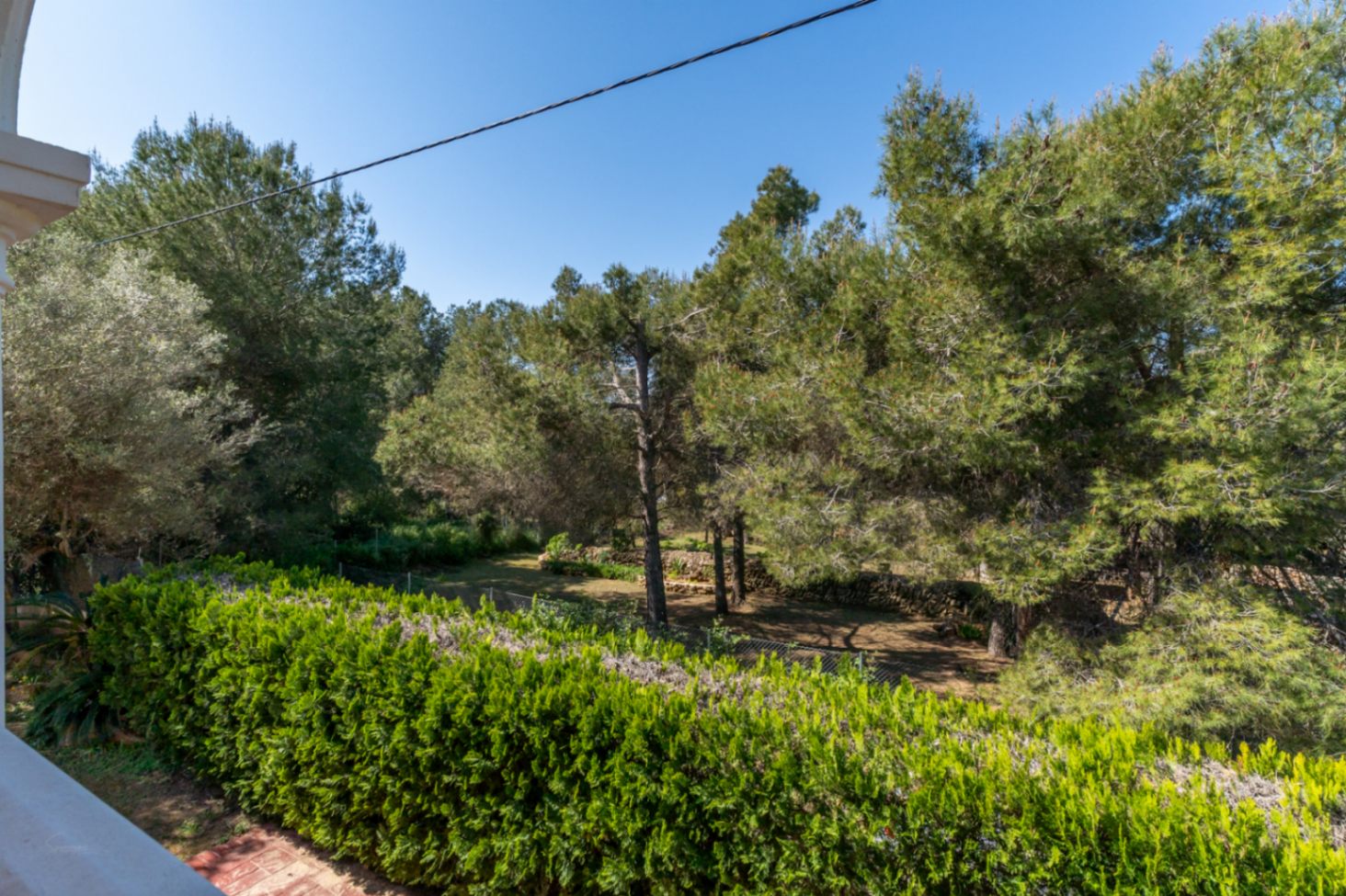 Vista desde la propiedad hacia el jardín arbolado, rodeado de pinos maduros y muros de piedra seca que garantizan total privacidad.