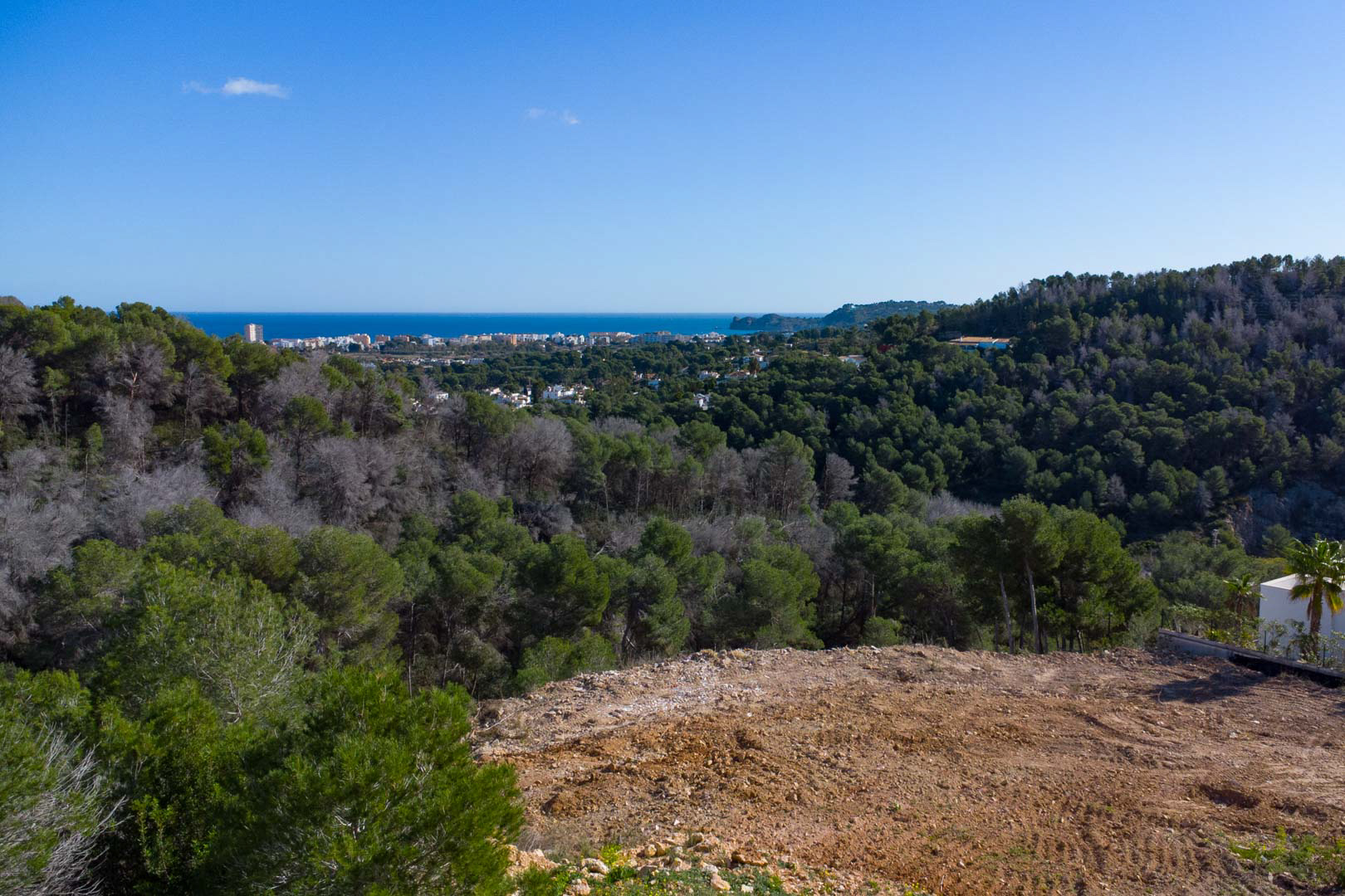 Vistas panorámicas desde la parcela elevada hacia el mar Mediterráneo, rodeada de un frondoso bosque de pinos y el perfil costero en el horizonte.