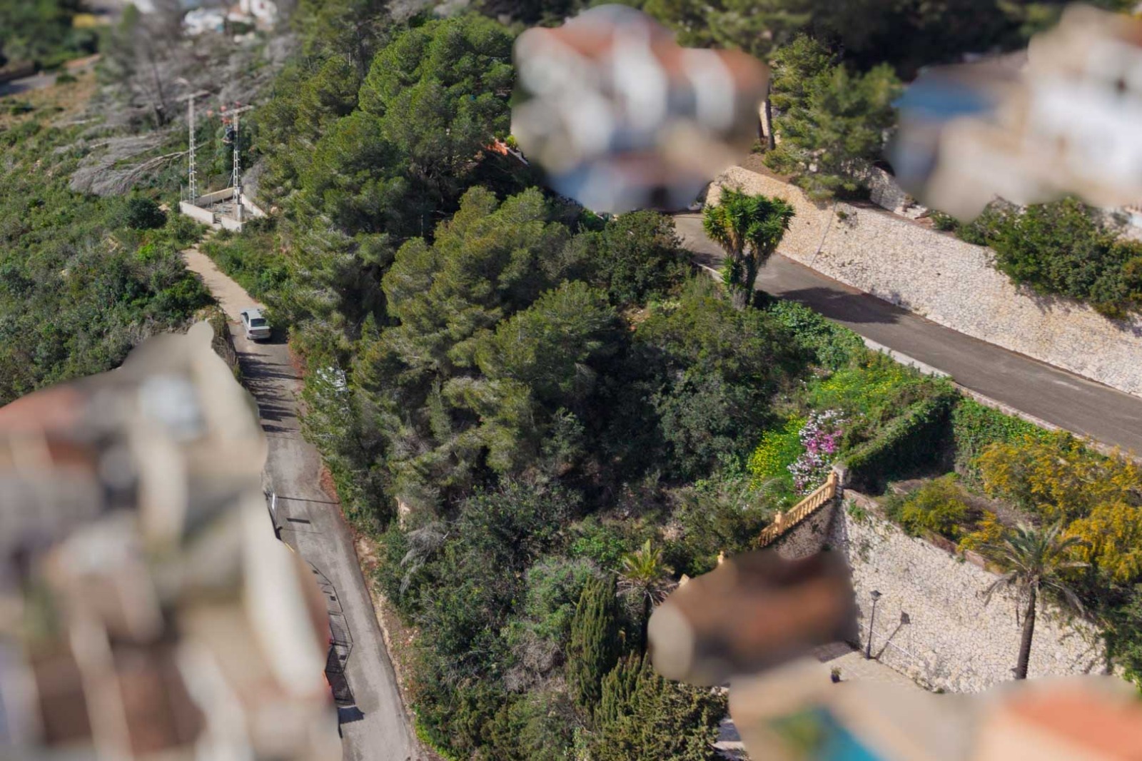 Vista elevada de la calle de acceso en Sol de Este, rodeada de densa vegetación mediterránea, pinos y muros de contención de piedra natural.