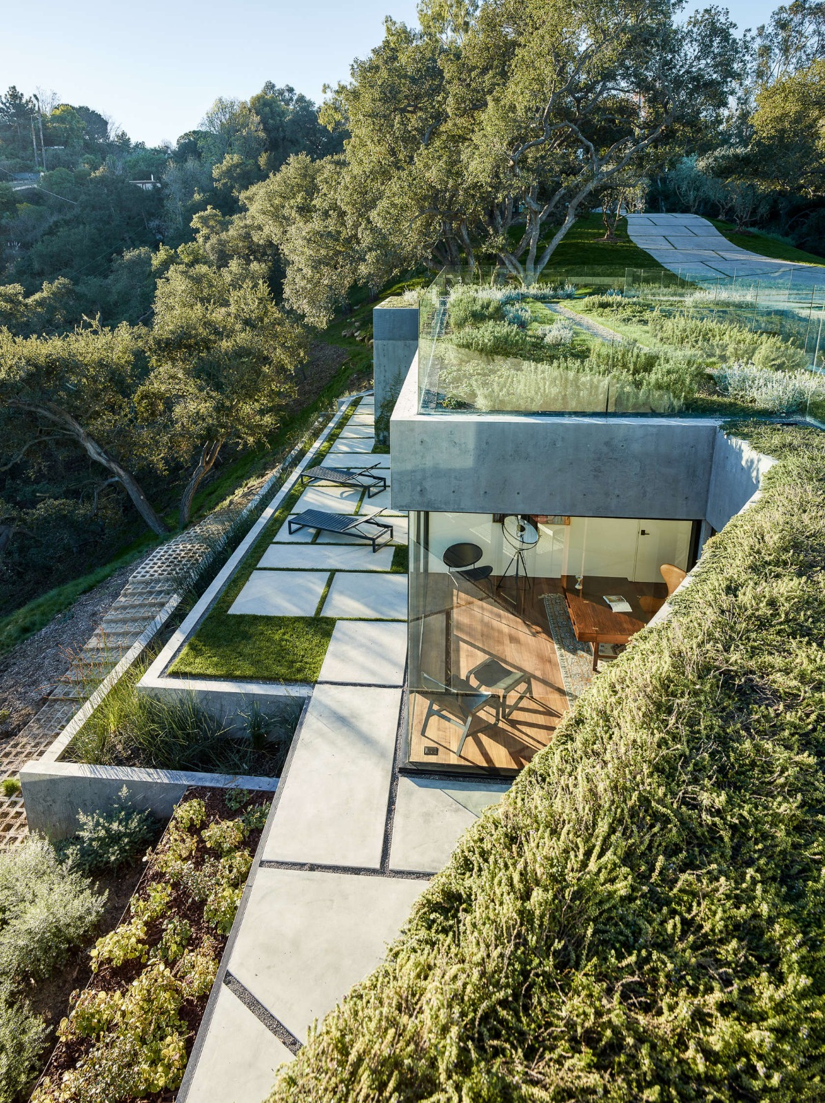 Arquitectura moderna integrada en la ladera con cubiertas vegetales, muros de hormigón visto y amplios ventanales que conectan el interior de madera con terrazas de piedra.