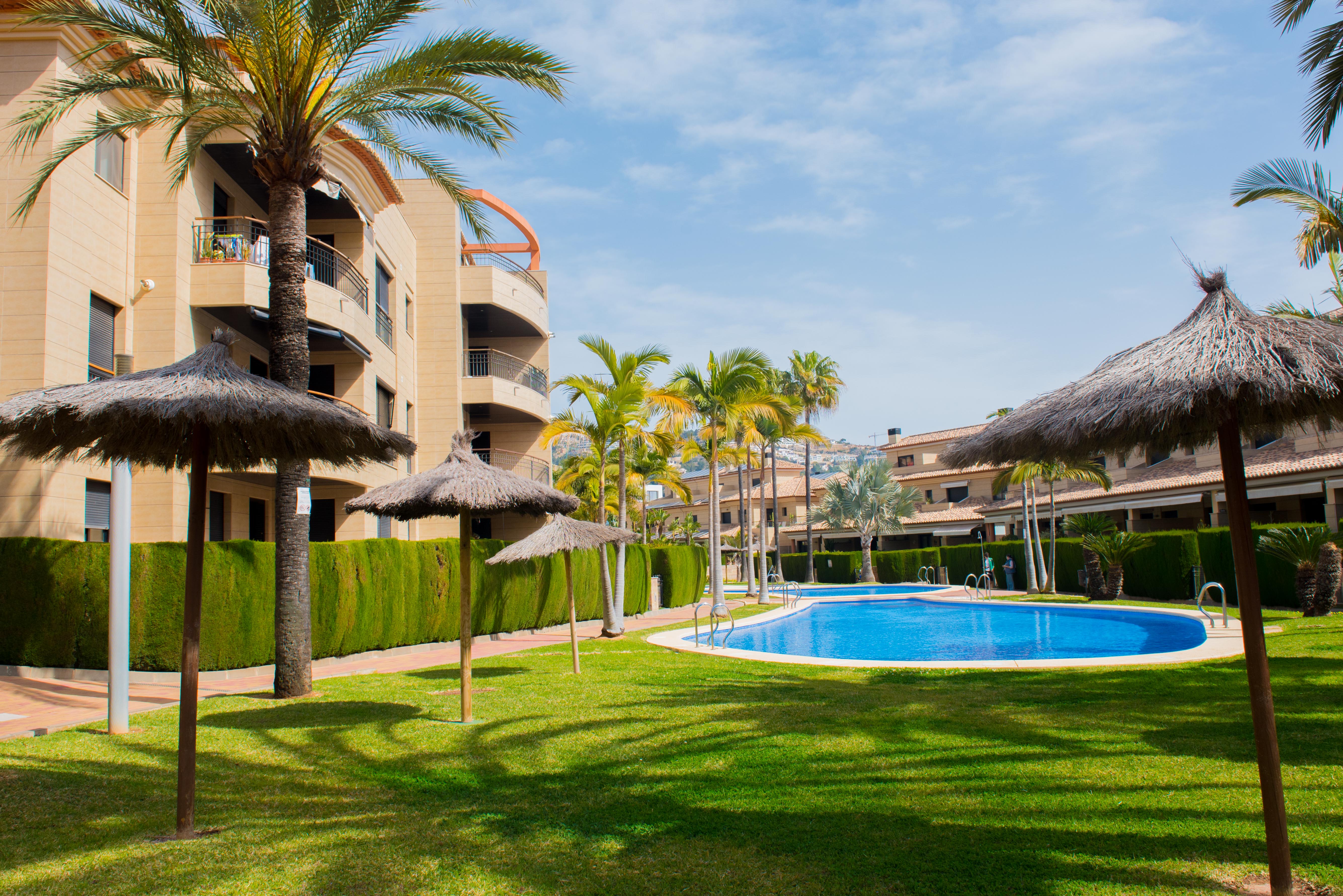 Zona comunitaria con piscina exterior, rodeada de césped natural, sombrillas de brezo y palmeras frente a los edificios de apartamentos en Jávea.