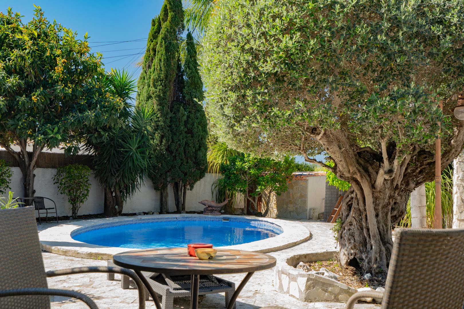Jardín mediterráneo con piscina circular rodeada de pavimentos de piedra natural, destacando un olivo centenario y cipreses bajo el sol.