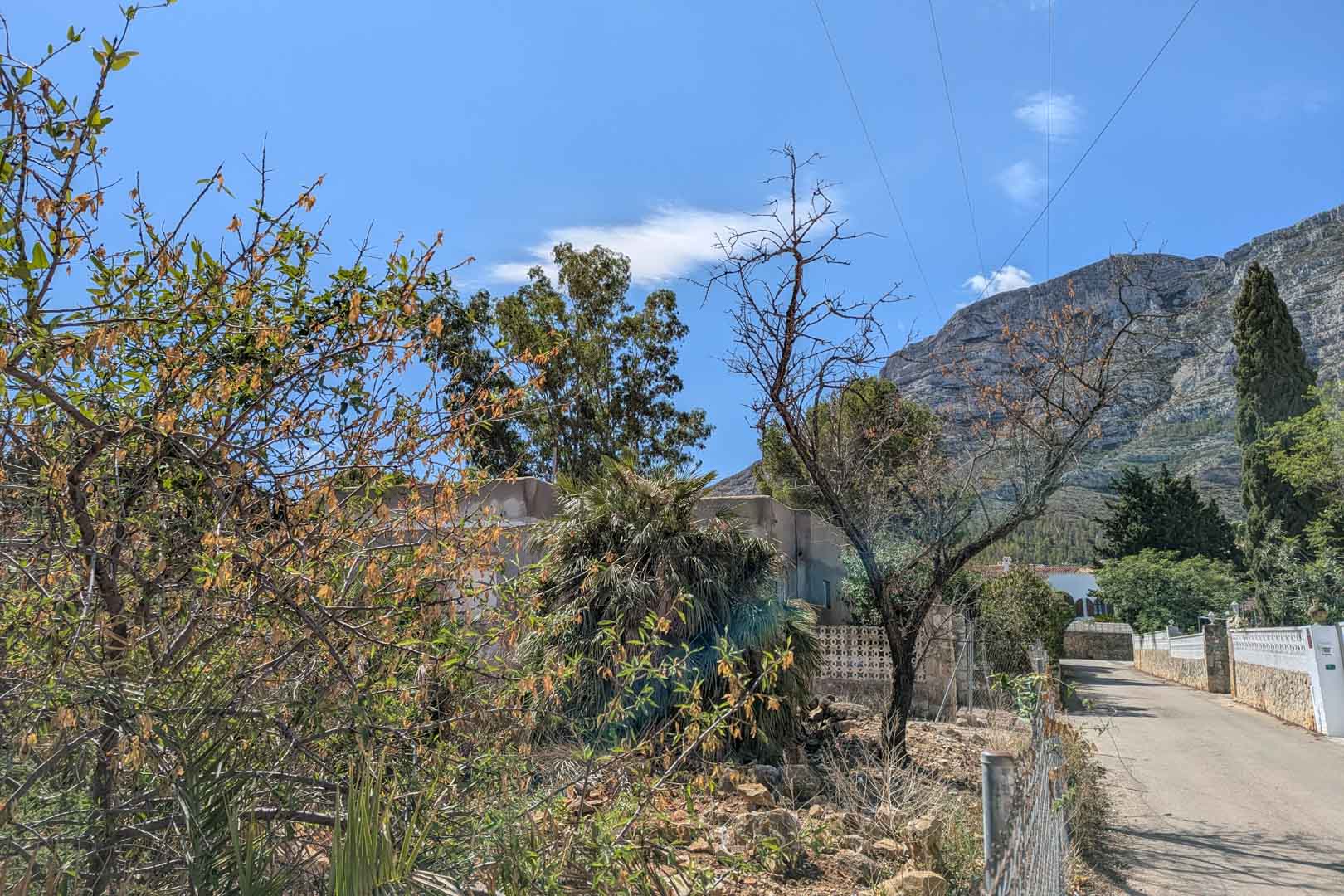 Vista del terreno con vegetación mediterránea y acceso asfaltado, destacando el macizo del Montgó al fondo bajo un cielo despejado.
