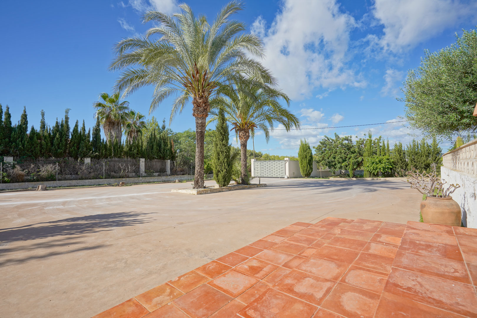 Amplio camino de entrada pavimentado con palmeras centrales, acceso mediante puerta automática y espacio para varios vehículos, rodeado de vegetación mediterránea.