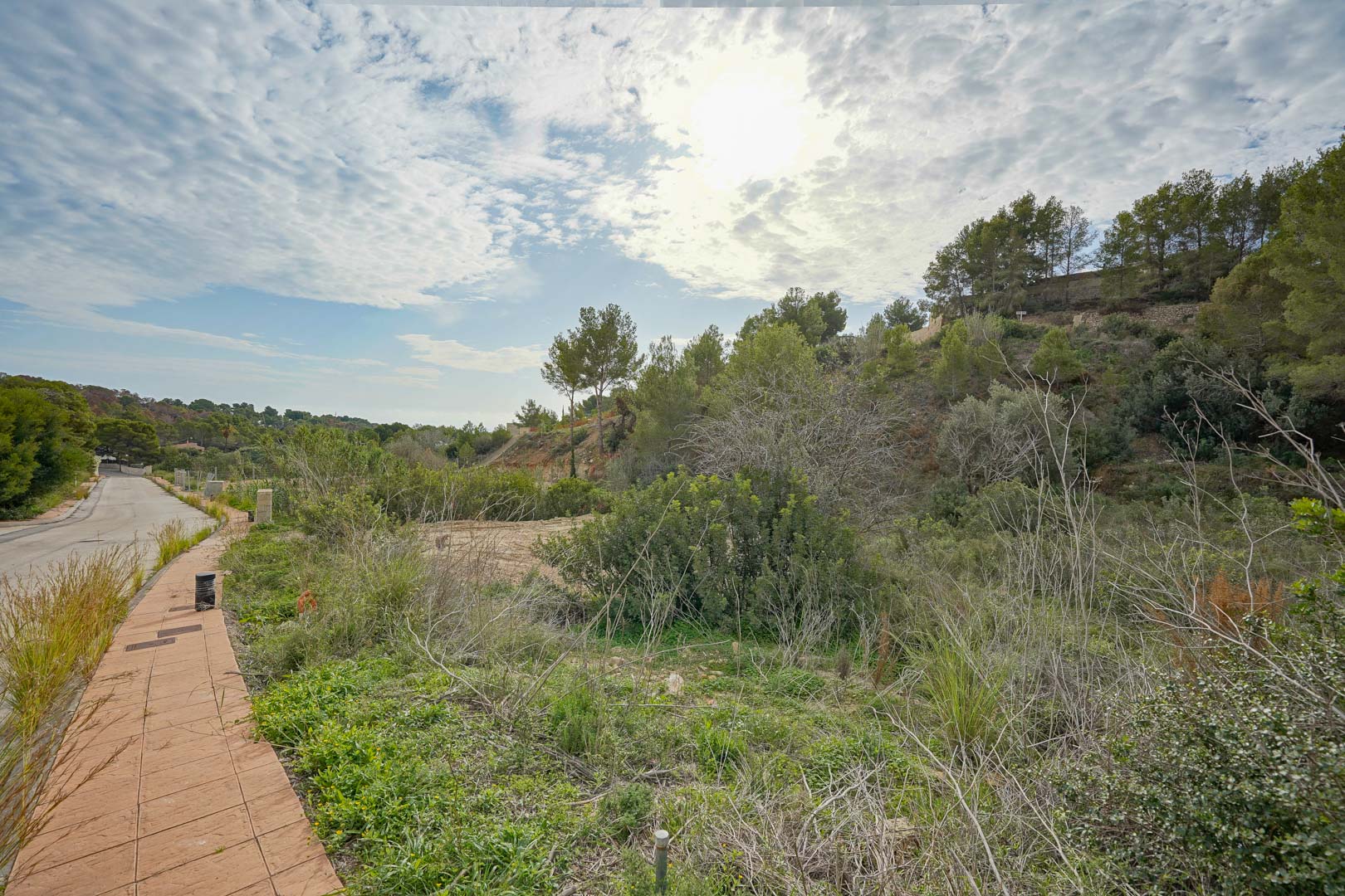 Parcela de terreno en zona residencial moderna, rodeada de vegetación mediterránea y pinos, con infraestructuras completas y acceso pavimentado.