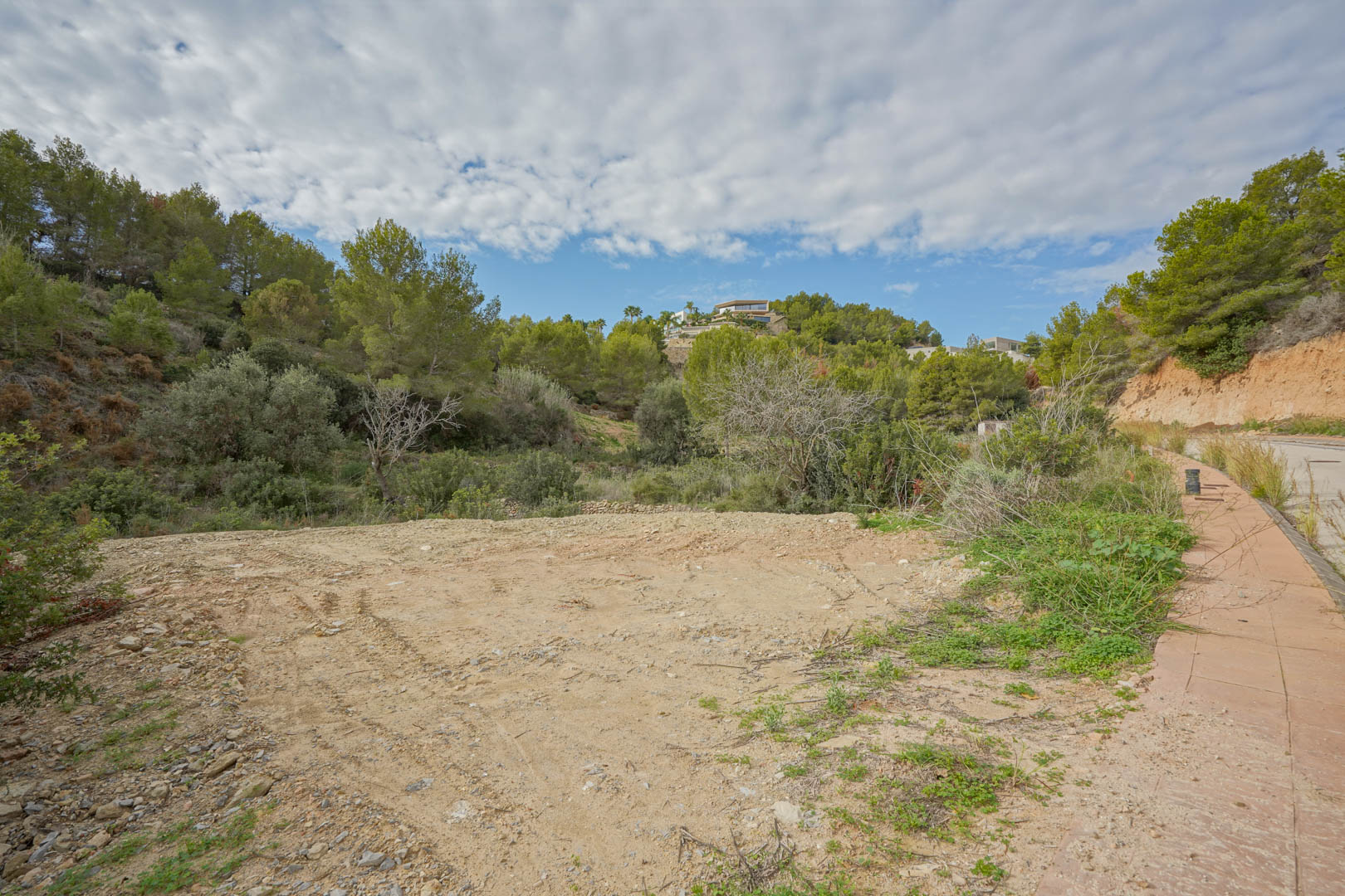 Vista de la parcela llana y despejada, rodeada de vegetación mediterránea y pinos, con acceso directo desde una calle urbanizada en una zona residencial tranquila.