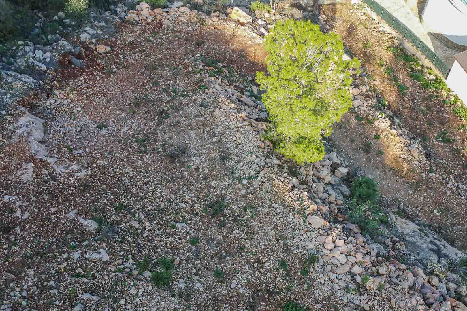 Vista cenital de la parcela en Montepego, mostrando el terreno despejado con vegetación autóctona y muros de piedra natural en un entorno tranquilo.