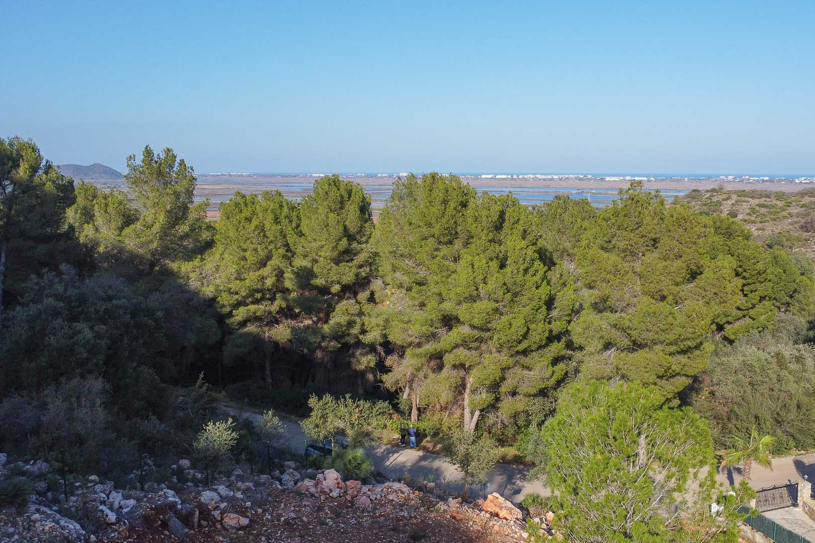 Vista panorámica desde la parcela elevada hacia el Parque Natural de la Marjal de Pego y el mar Mediterráneo, rodeada de pinos autóctonos y vegetación densa.