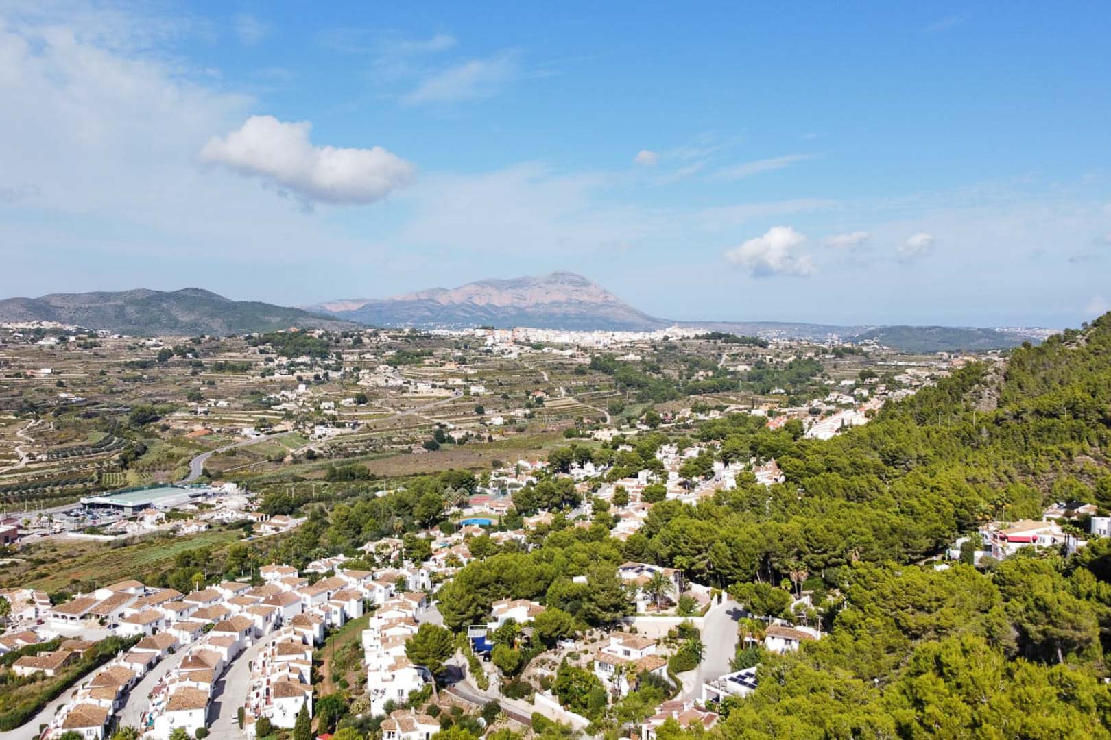 Vista panorámica elevada que muestra la densidad de pinos mediterráneos y villas blancas, con una prominente silueta montañosa en el horizonte bajo un cielo despejado.