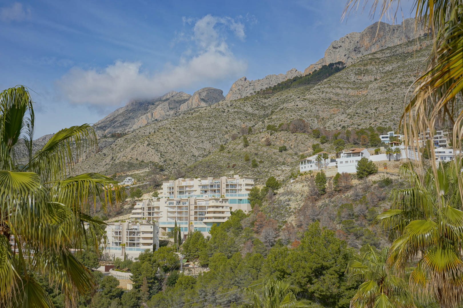 Vista panorámica de la Sierra de Bernia desde la propiedad, mostrando las formaciones rocosas y las urbanizaciones integradas en la ladera rodeadas de pinos y palmeras.