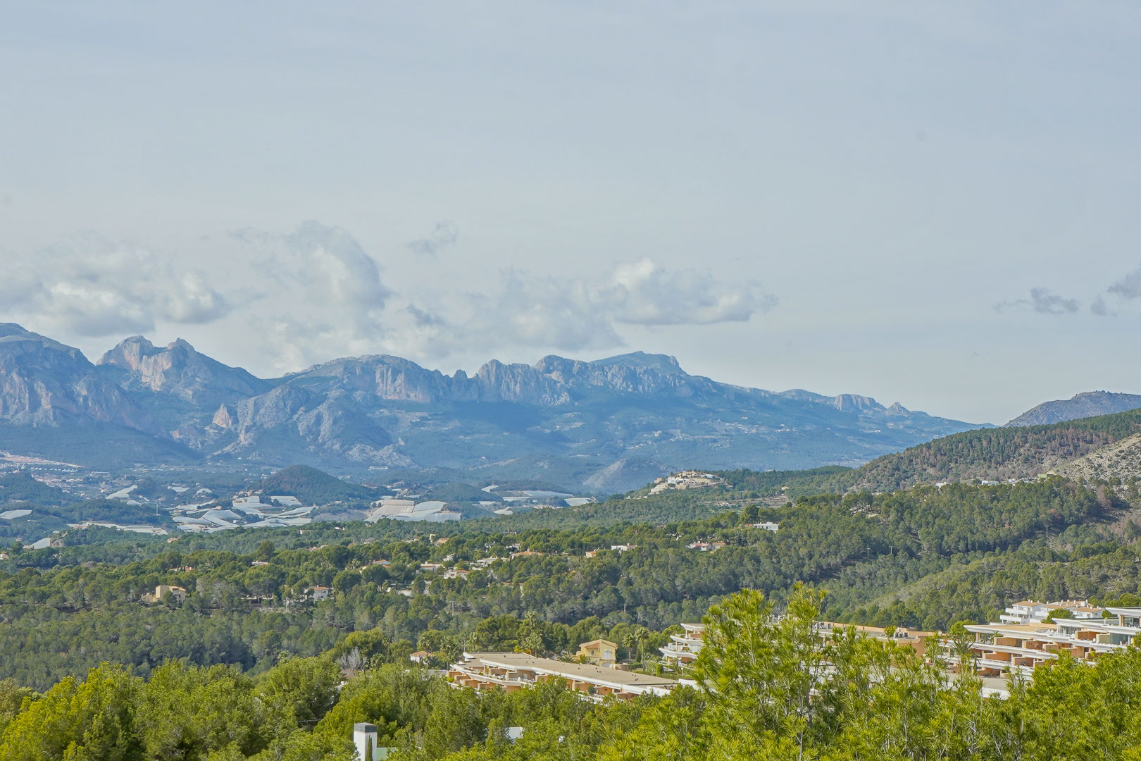 Vistas panorámicas del paisaje montañoso de la Marina Baixa, destacando las cumbres de la Sierra Aitana sobre un valle de pinos.