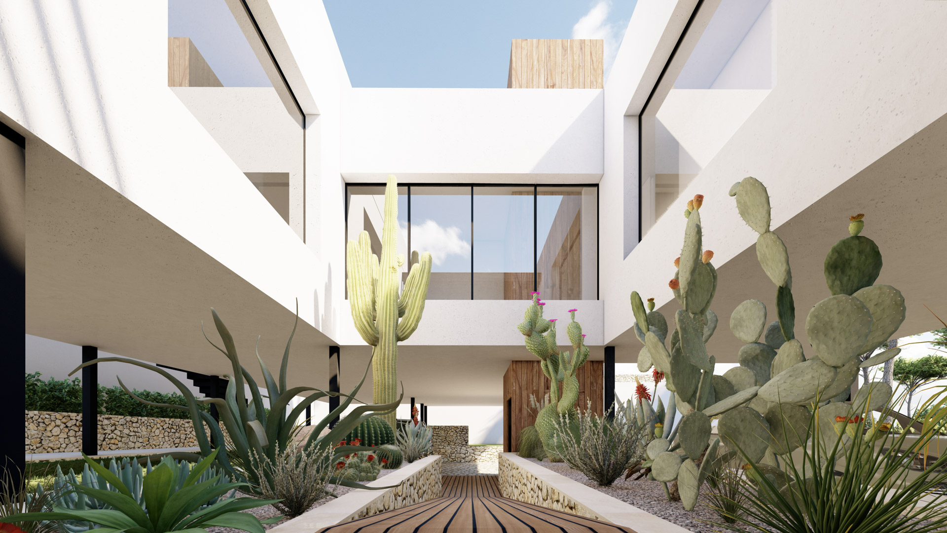 Entrada con pasarela de madera y jardín de cactus integrado, resaltando la arquitectura minimalista blanca y los muros de piedra natural bajo volúmenes voladizos.