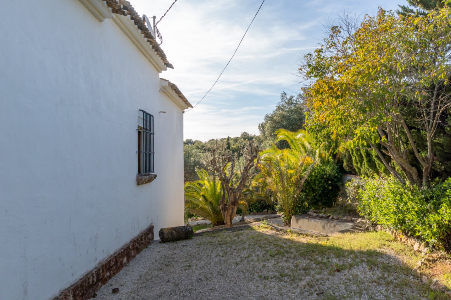 Fachada lateral blanca con ventana de reja tradicional, rodeada de un jardín con palmeras y vegetación mediterránea consolidada bajo el sol de Jávea.