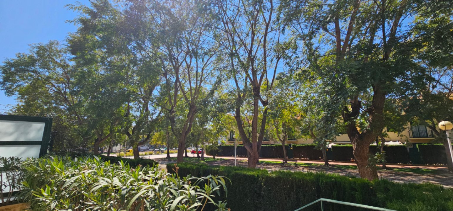 Vista desde la terraza hacia las zonas verdes exteriores con árboles maduros y setos cuidados bajo un cielo despejado.