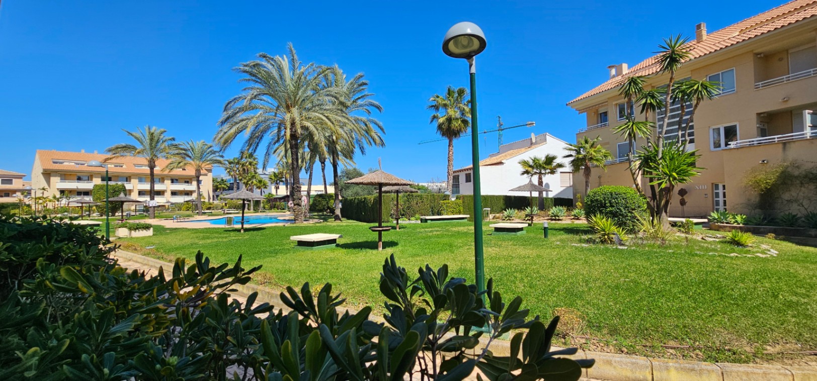 Zona comunitaria con amplio jardín de césped, palmeras maduras y sombrillas de brezo junto a la piscina, situada frente a los edificios residenciales.