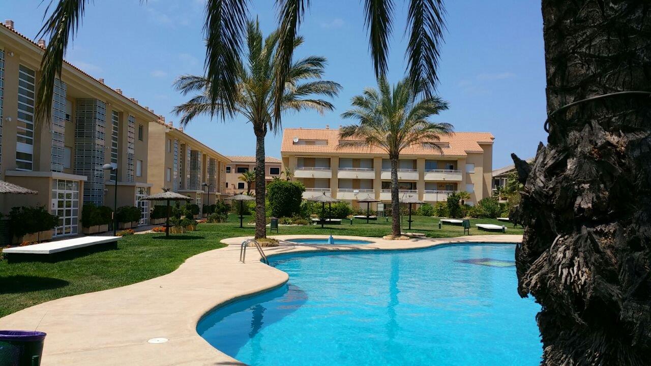 Zona comunitaria con piscina de diseño curvo, rodeada de amplios jardines de césped natural y palmeras maduras frente a los edificios residenciales.