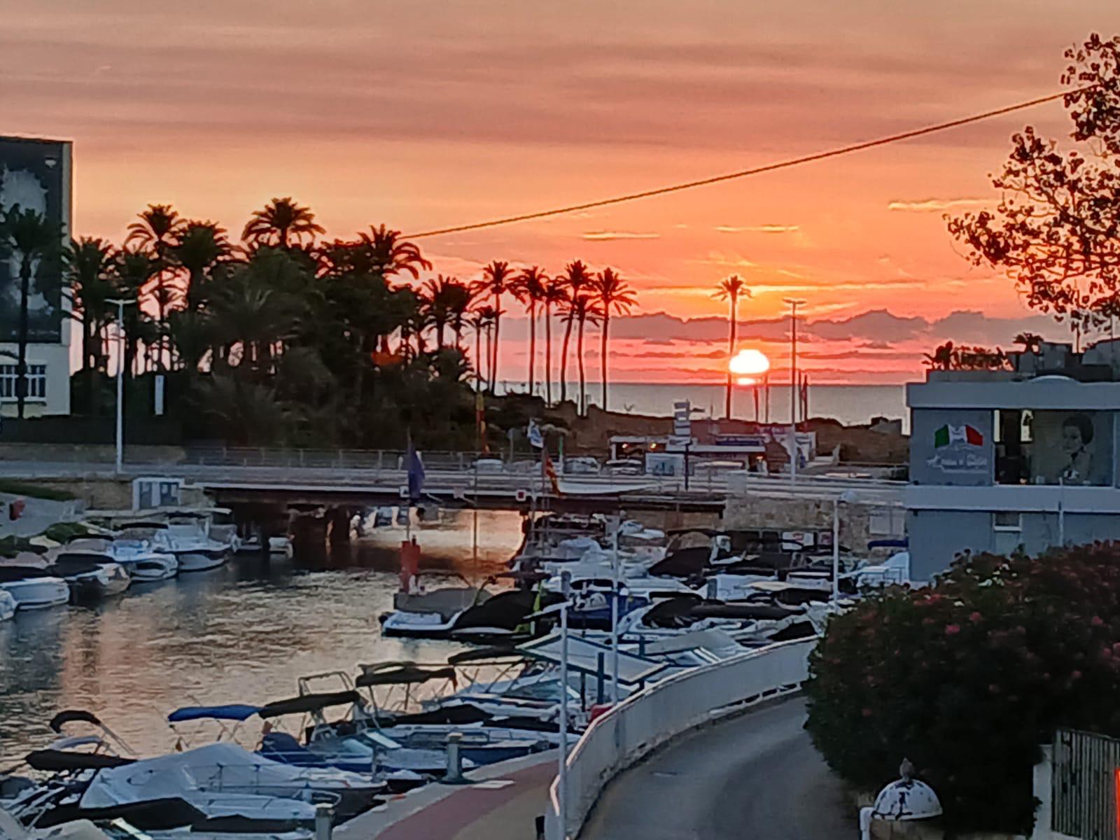 Vistas panorámicas del canal y la marina al atardecer, con embarcaciones amarradas y siluetas de palmeras bajo un cielo anaranjado sobre el horizonte del mar.