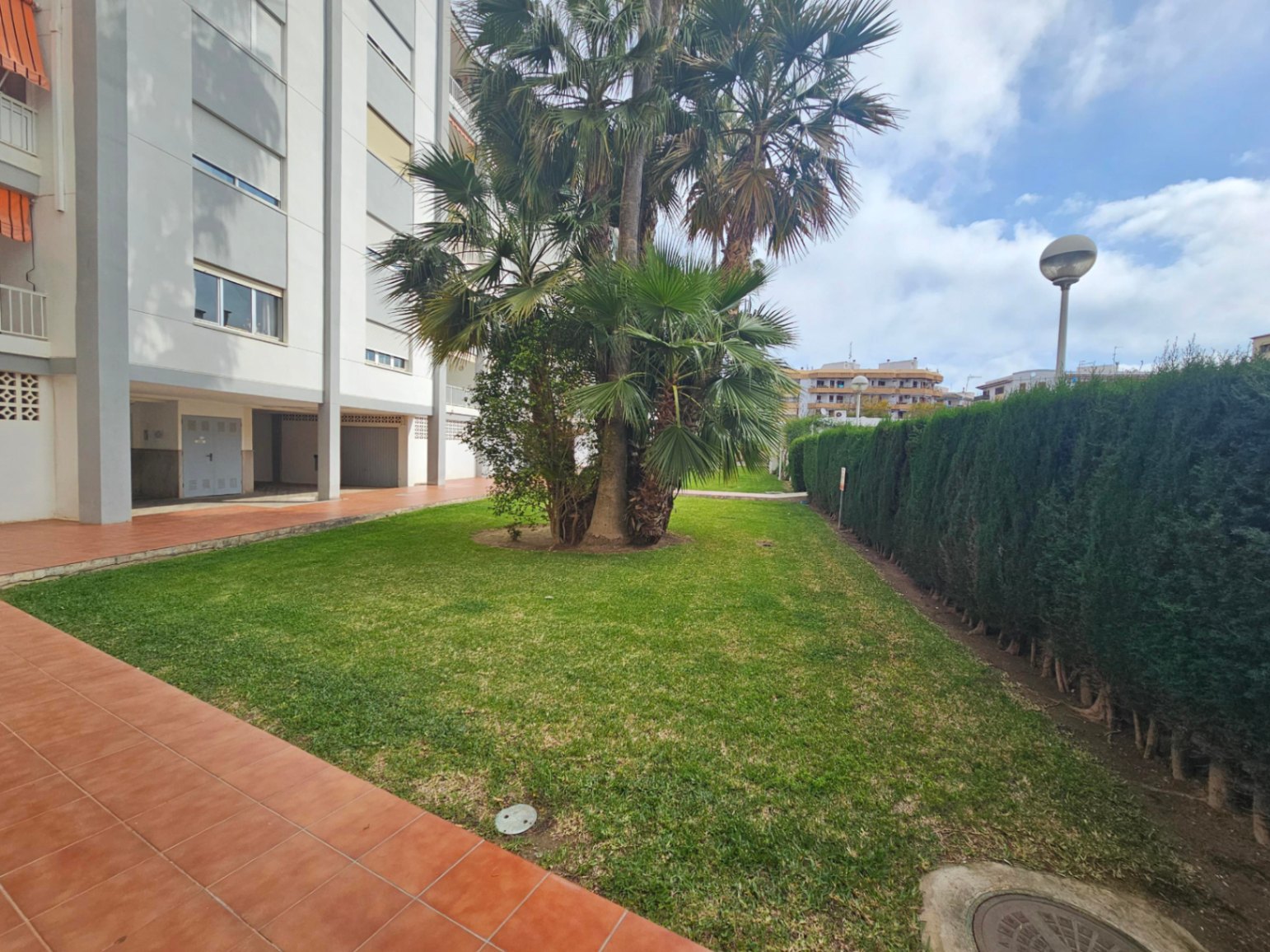 Jardín comunitario con césped cuidado, palmeras maduras y setos altos que proporcionan privacidad, junto a un camino de baldosas cerámicas.