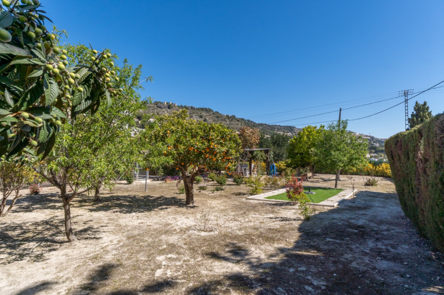 Jardín mediterráneo con árboles frutales, incluyendo nísperos y cítricos, bajo un cielo despejado con vistas a las colinas circundantes de Jávea.