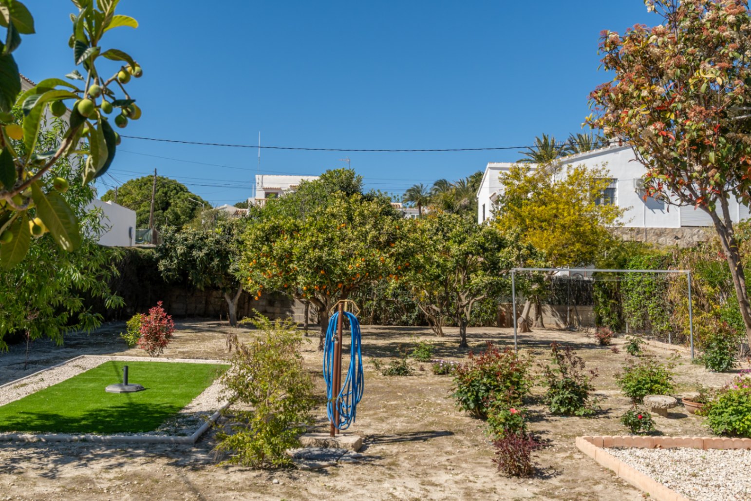 Jardín mediterráneo con árboles frutales, zona de césped artificial y senderos de grava bajo un cielo despejado en Jávea.