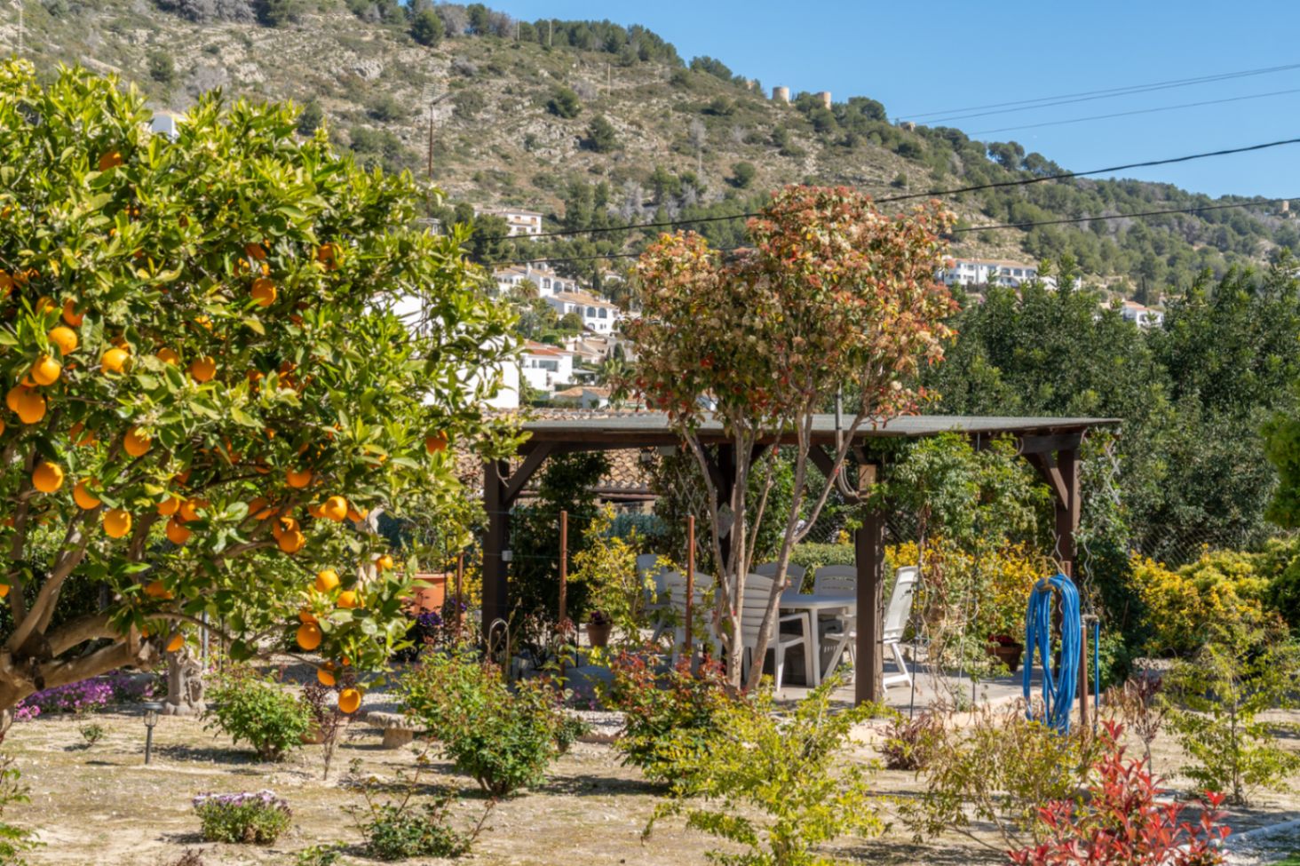 Jardín mediterráneo con naranjos en fruto y una pérgola de madera que alberga un comedor exterior, con vistas a las colinas de Jávea.