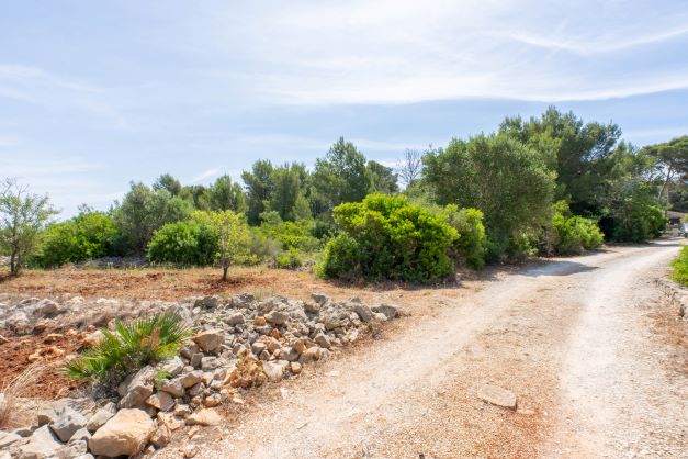 Vista de la parcela con vegetación autóctona y camino de acceso.