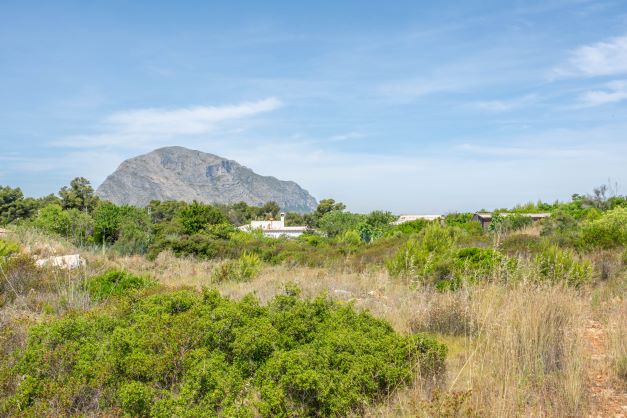 Vista de la parcela con vegetación autóctona y el Montgó al fondo.