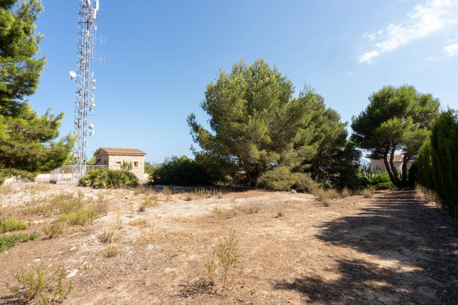 Vista de la parcela con vegetación mediterránea y una caseta de piedra.