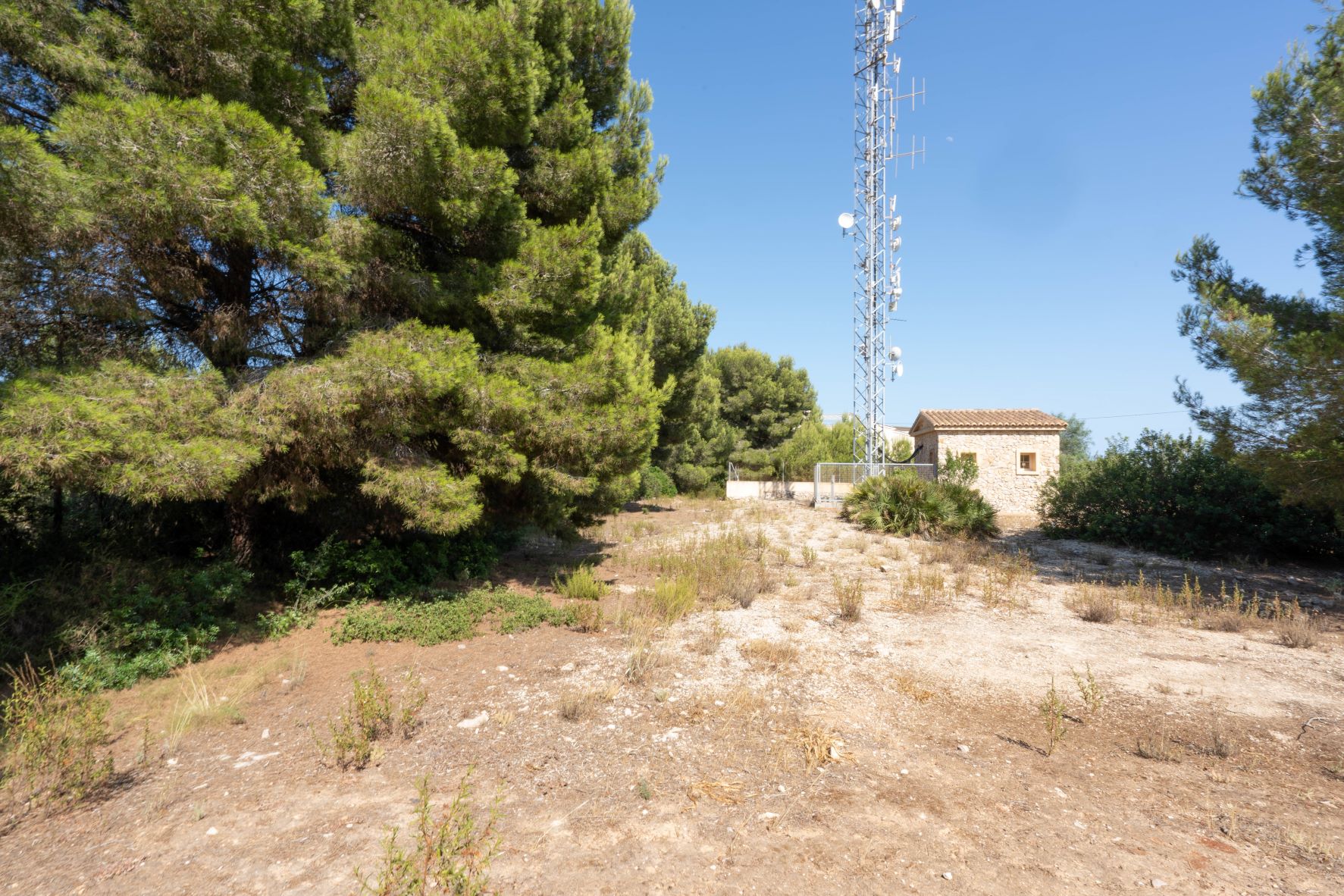 Vista de la parcela con vegetación, torre de antenas y edificación auxiliar.