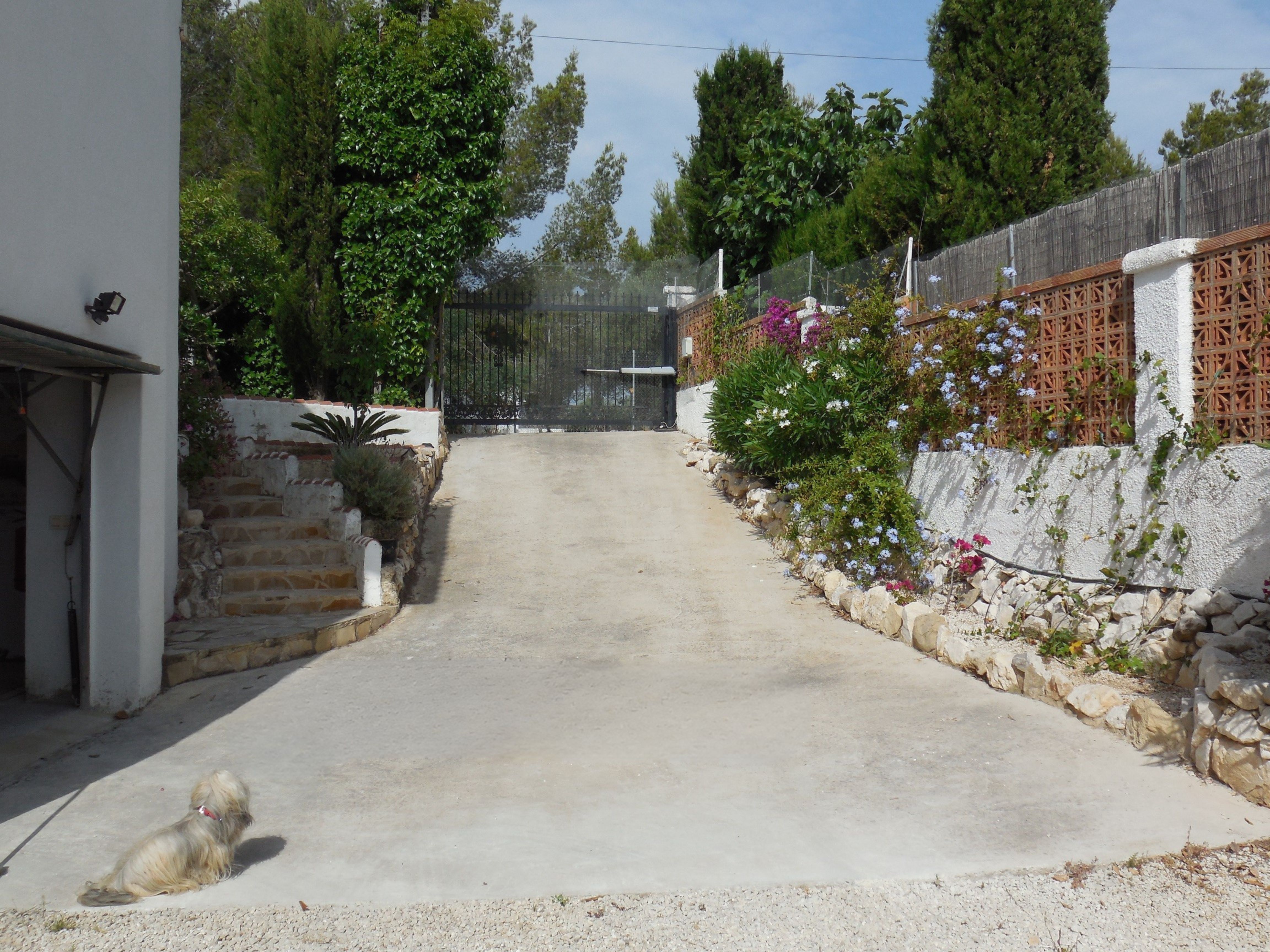 Entrada de la villa con camino de cemento, escaleras de piedra y vegetación florida.