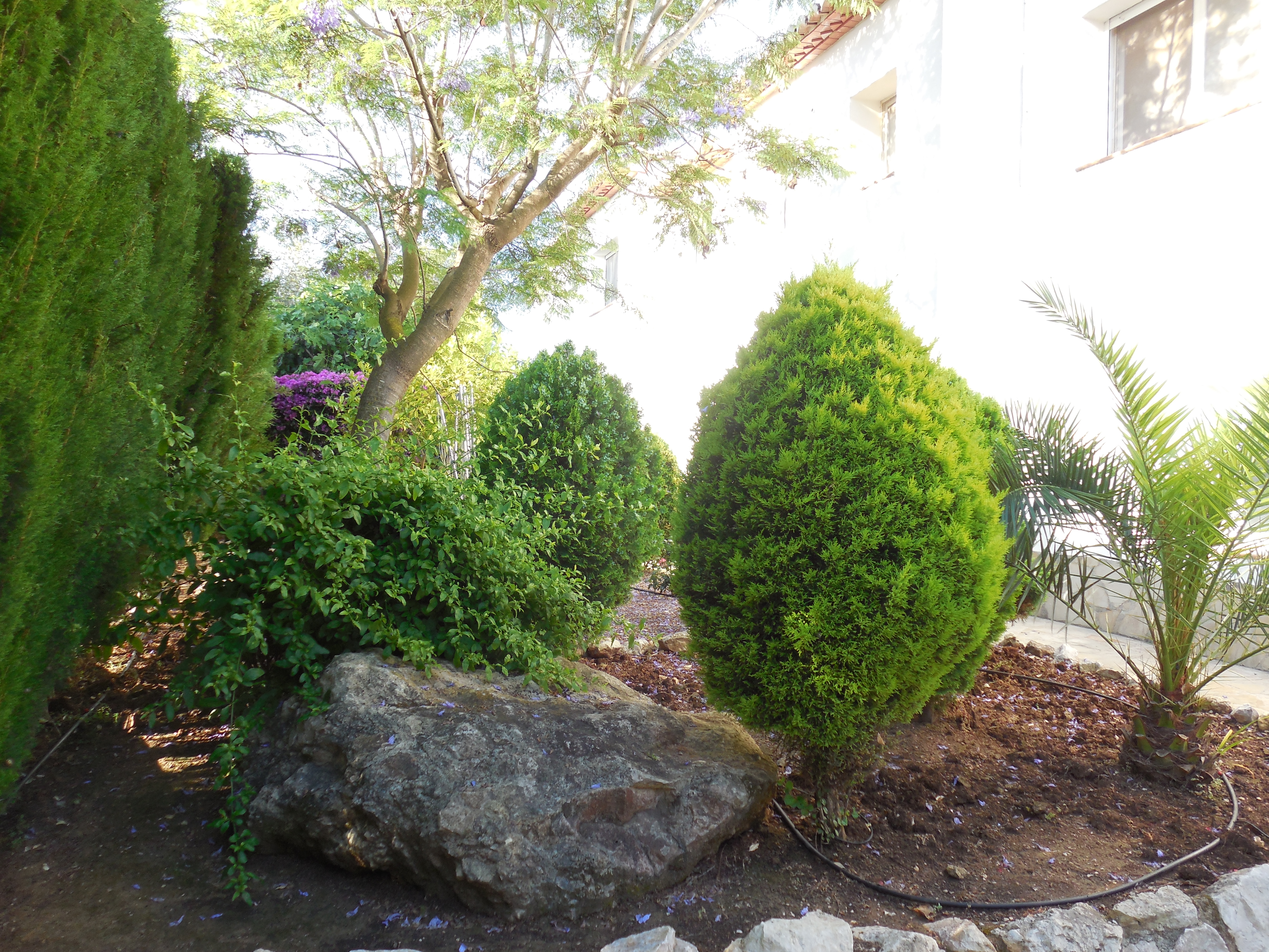 Jardín con arbustos topiarios y rocas ornamentales en Villa Jávea Pinosol.