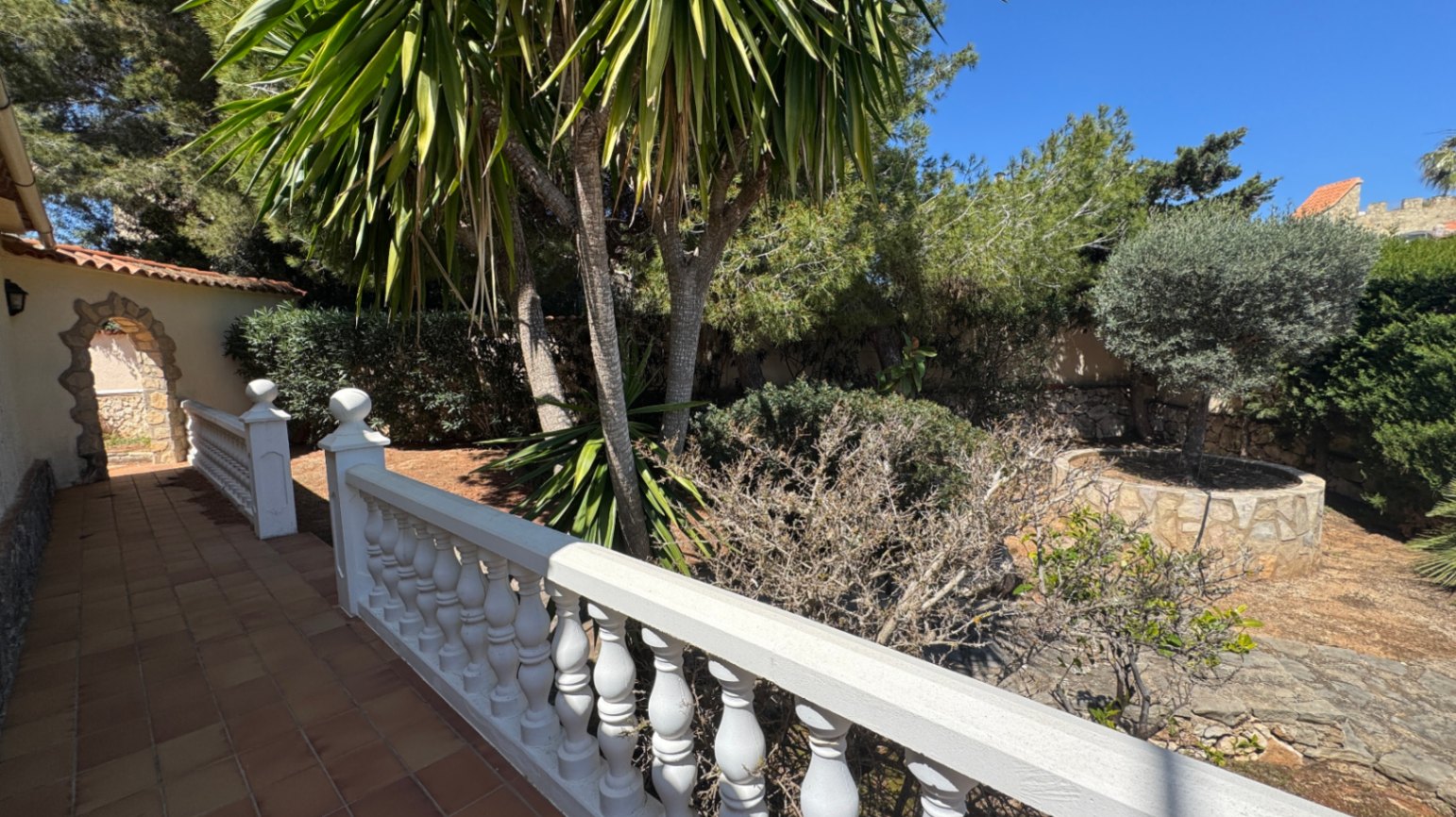 Terraza con suelos de terracota y balaustrada blanca frente a un jardín mediterráneo con palmeras, pinos y un olivo en jardinera de piedra natural.
