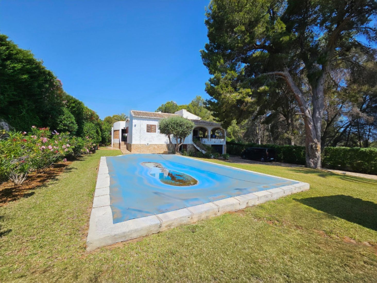 Vista exterior de una villa mediterránea blanca con piscina cubierta, rodeada de un amplio jardín con césped y pinos maduros bajo un cielo despejado.