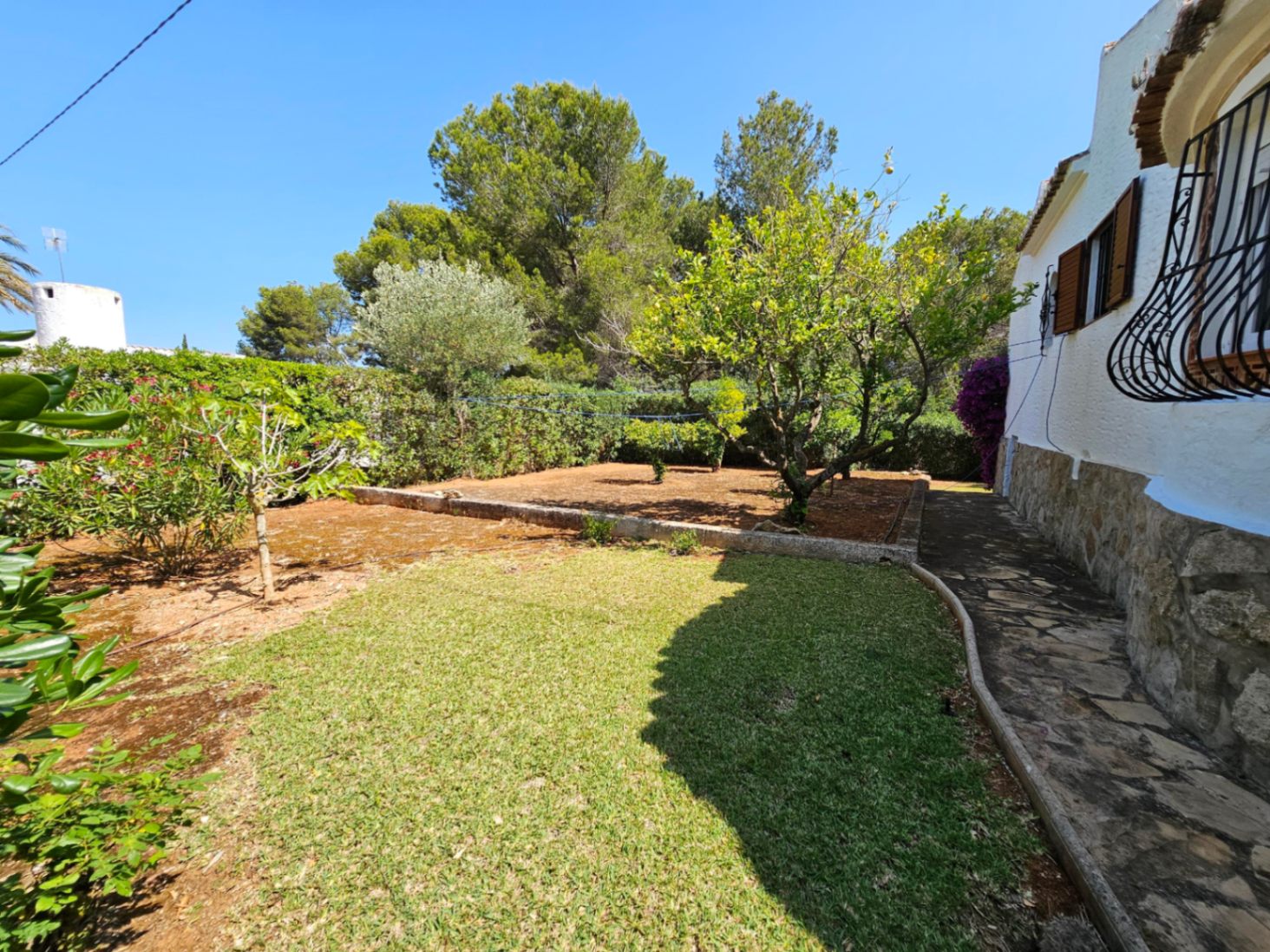 Zona de jardín con césped natural, sendero de piedra y árboles frutales maduros bajo un cielo despejado, rodeada de pinos mediterráneos autóctonos.