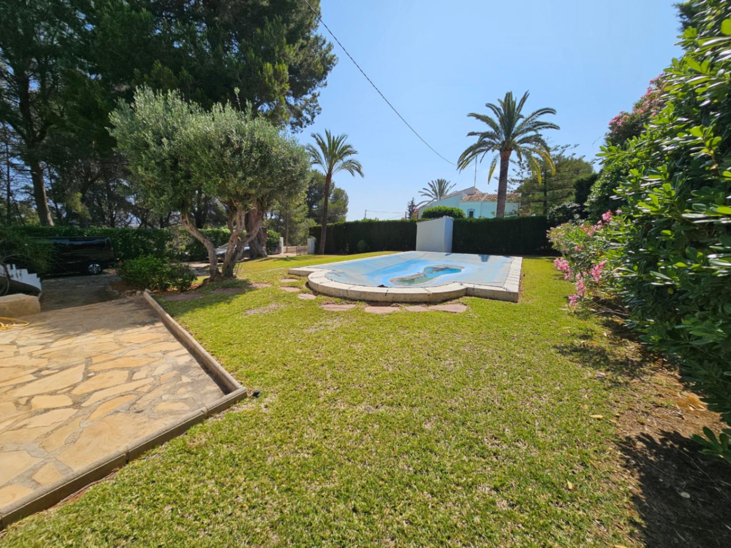 Zona de jardín con césped, olivos y palmeras maduras que rodea una piscina con cubierta de protección azul y bordes de piedra.