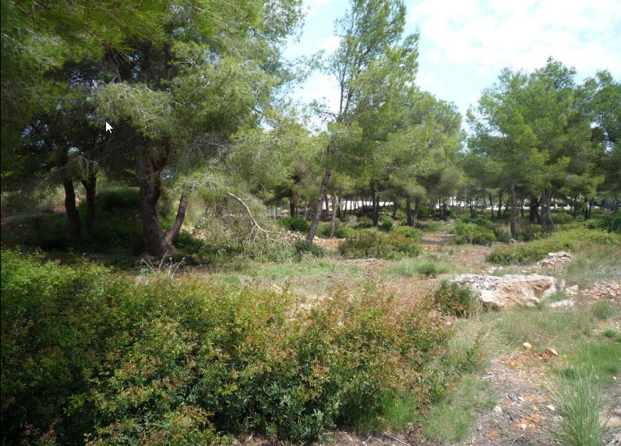 Terrenos llanos edificables con vistas al mar en Jávea