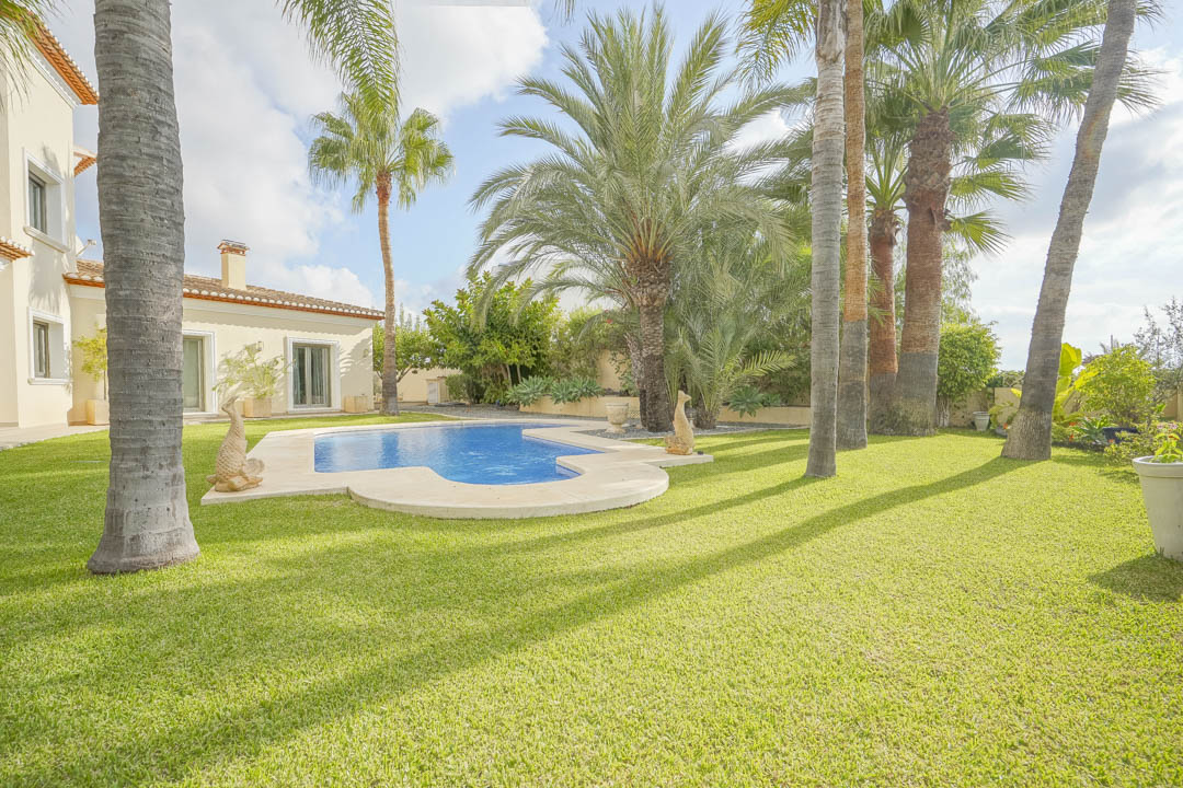 Jardín mediterráneo con césped natural, palmeras maduras y una piscina de diseño orgánico rodeada de piedra natural junto a la villa.