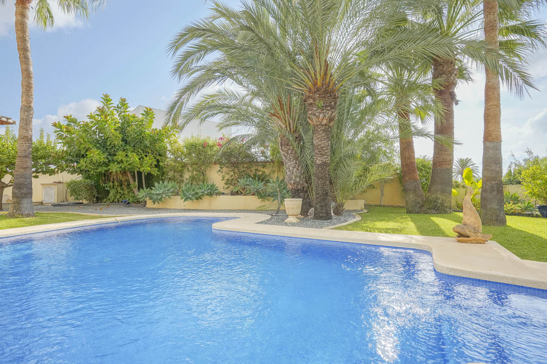 Piscina privada rodeada de un jardín mediterráneo maduro con palmeras altas, césped natural y plantas suculentas bajo un cielo despejado.