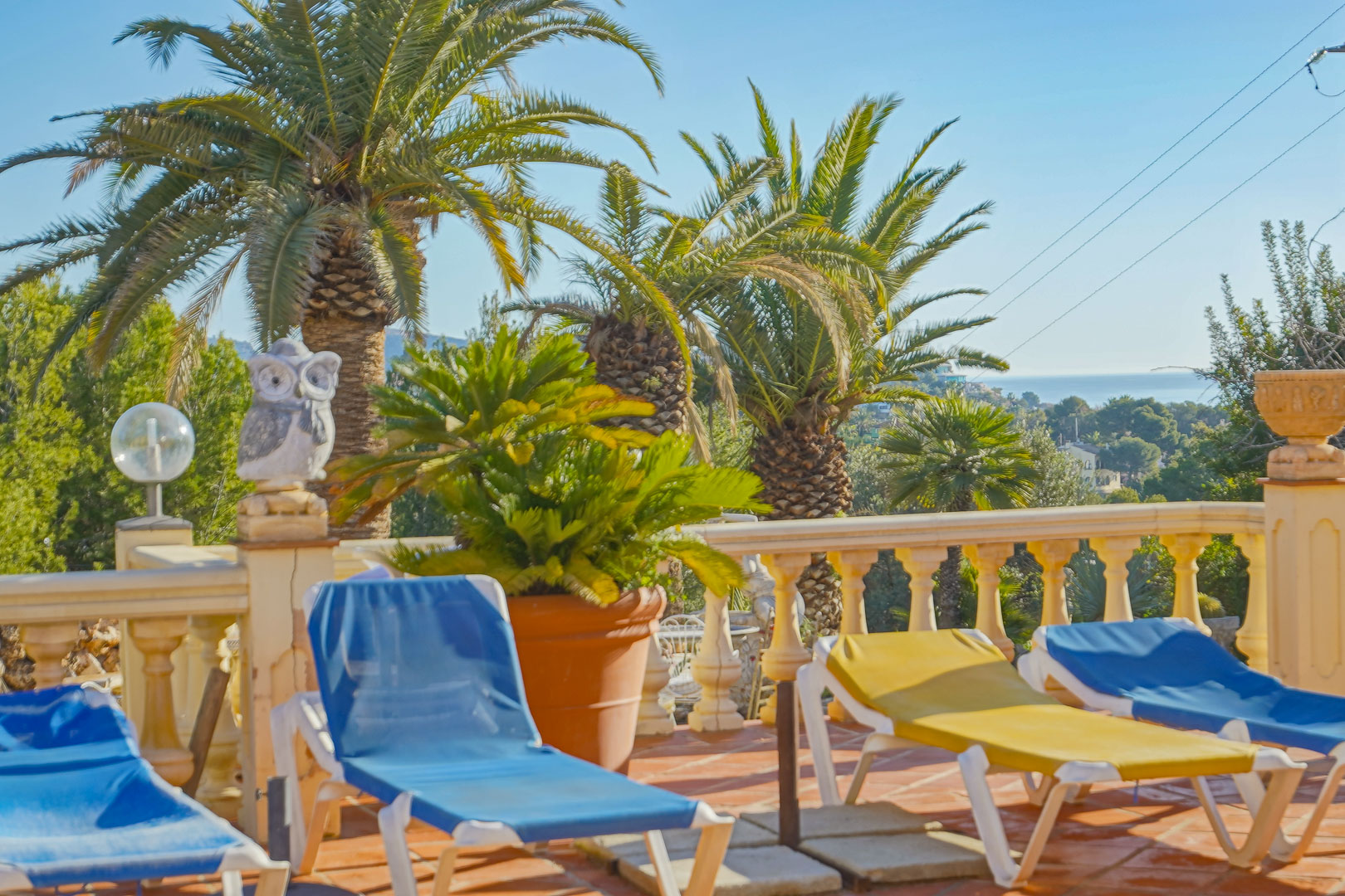 Terraza con suelo de terracota y balaustrada clásica, equipada con tumbonas y rodeada de palmeras maduras con vistas despejadas al mar Mediterráneo.