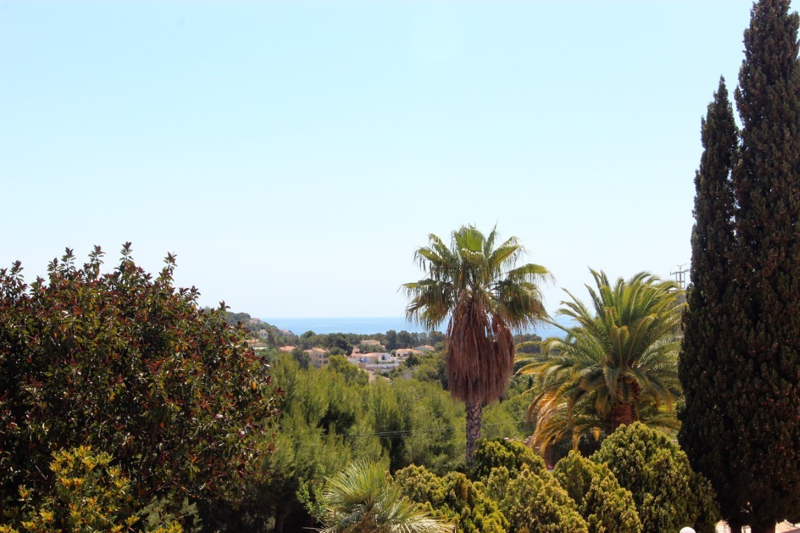Vista panorámica hacia el mar Mediterráneo desde la propiedad, rodeada de vegetación autóctona con palmeras y cipreses bajo un cielo despejado.