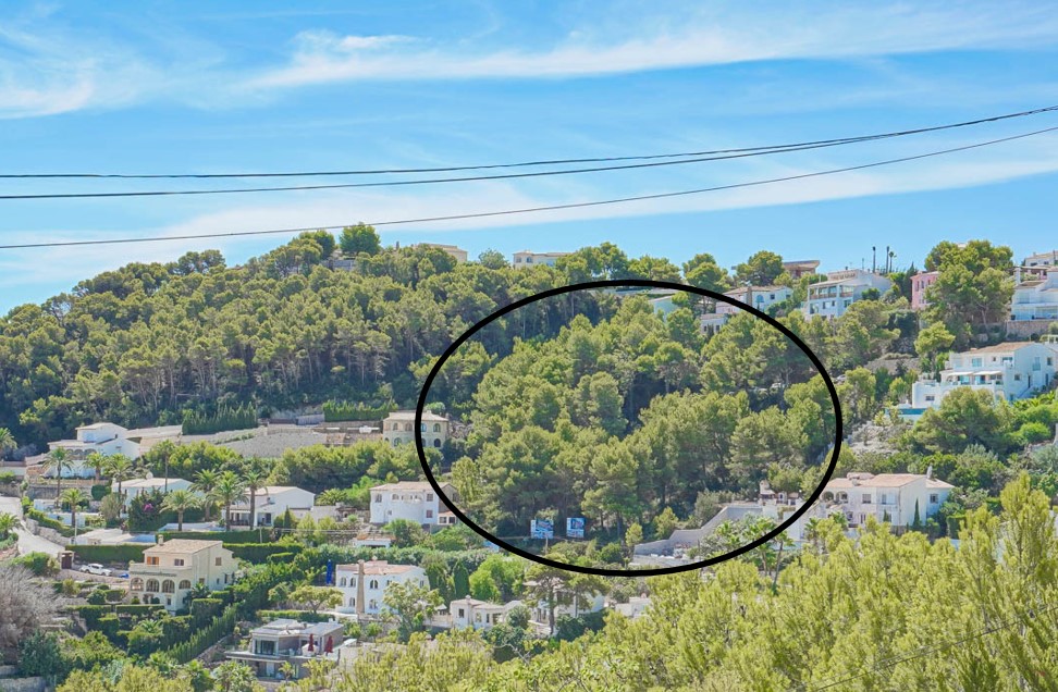 Vista panorámica de la parcela elevada en Jávea, rodeada de pinos mediterráneos y villas consolidadas bajo un cielo despejado.