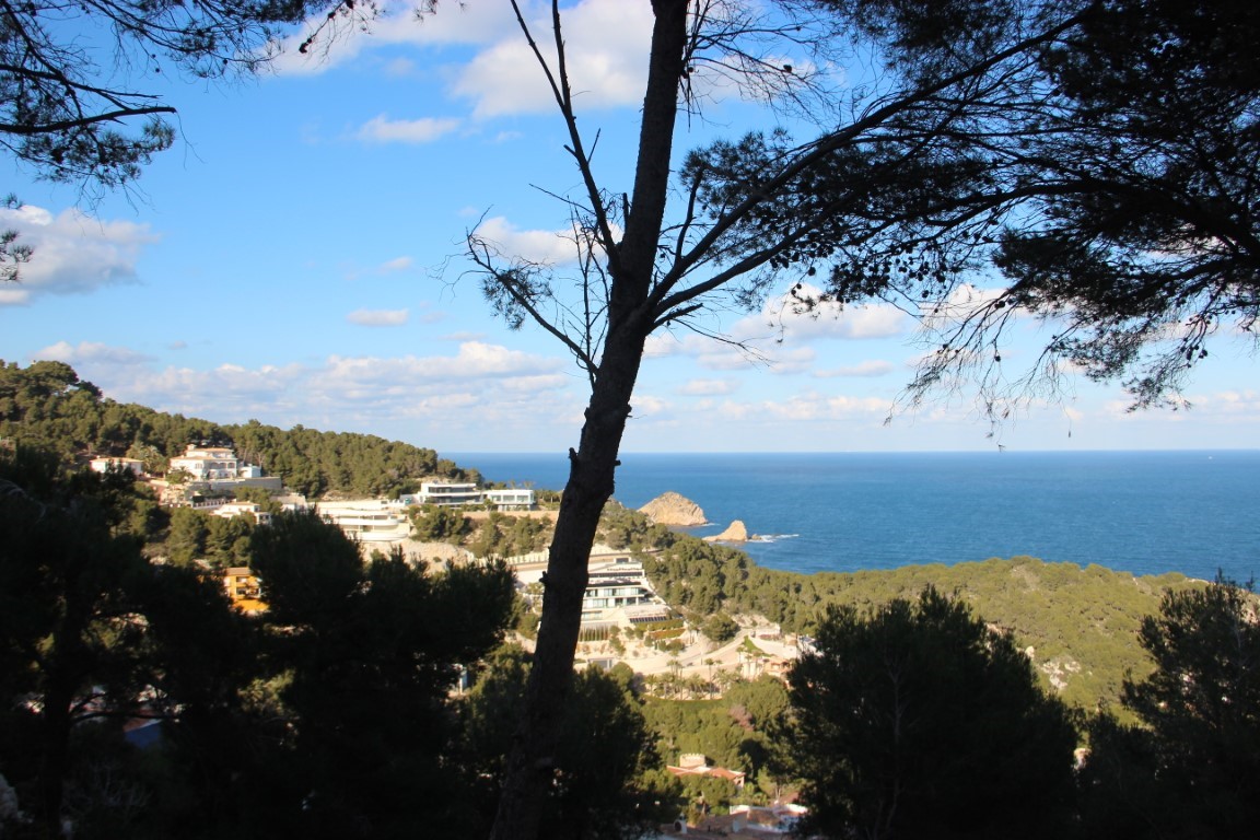 Vista elevada hacia el mar Mediterráneo y la costa de Jávea, enmarcada por pinos silvestres y con vistas a residencias de lujo en la ladera.