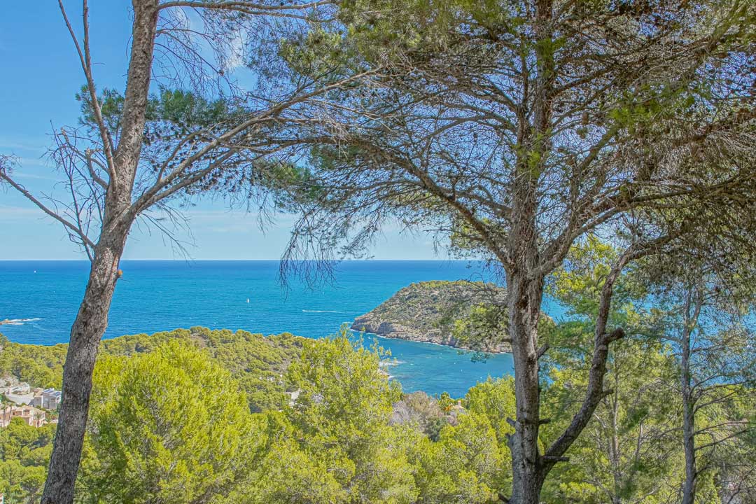 Vista panorámica del mar Mediterráneo y la Isla del Portitxol, enmarcada por pinos maduros desde la ubicación elevada de la villa en Jávea.