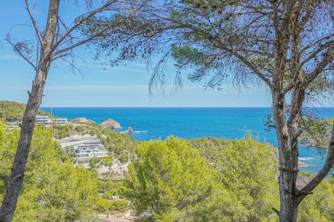 Vistas panorámicas al mar Mediterráneo enmarcadas por pinos autóctonos, mostrando la costa escarpada de Jávea y la vegetación local desde una posición elevada.