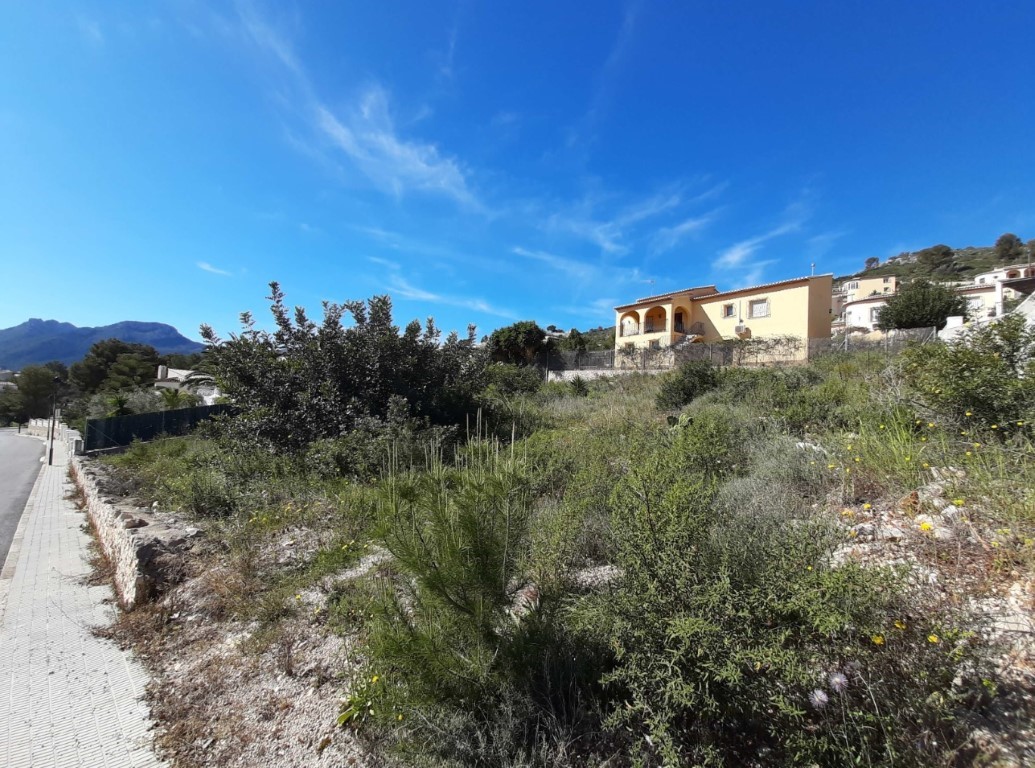 Parcela con vegetación autóctona y vistas a las montañas, situada junto a una acera pavimentada en una zona tranquila de Alcalalí.